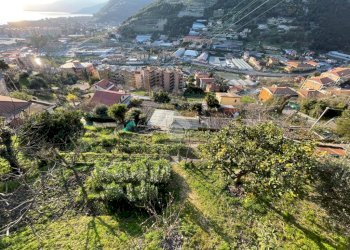 Terreno edificabile Via Bellavista, Vallecrosia - foto 13