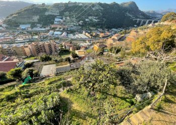 Terreno edificabile Via Bellavista, Vallecrosia - foto 15