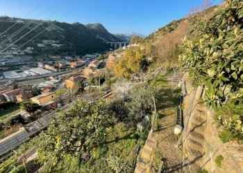 Terreno edificabile Via Bellavista, Vallecrosia - foto 17