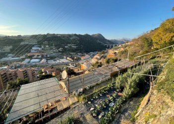 Terreno edificabile Via Bellavista, Vallecrosia - foto 18