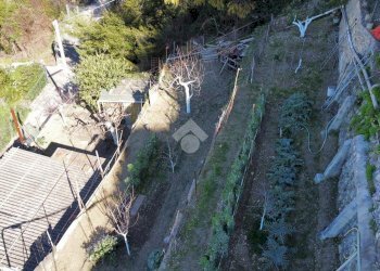 Terreno edificabile Via Bellavista, Vallecrosia - foto 22