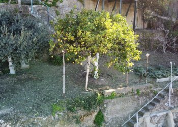 Terreno edificabile Via Bellavista, Vallecrosia - foto 24