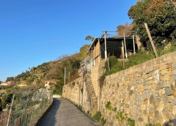 Terreno edificabile Via Bellavista, Vallecrosia - foto 26