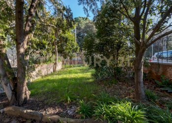 HSV04596.jpg - Villa Via Fratelli Bandiera, Grosseto - foto 9