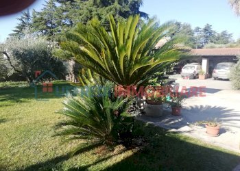 Villa Velletri - photo 39