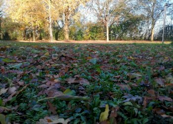 Villa Limidi, Soliera, Soliera - foto 80