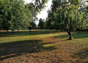 Villa Limidi, Soliera, Soliera - foto 84