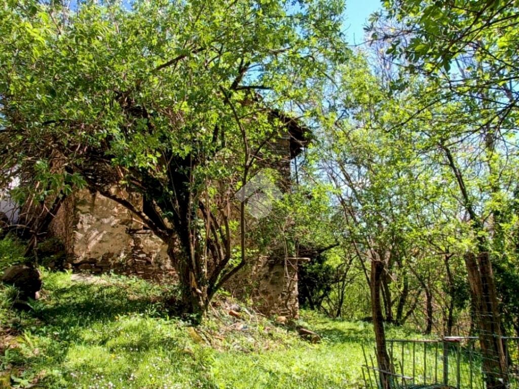 Rustic Località vietti, Coassolo Torinese - photo 3