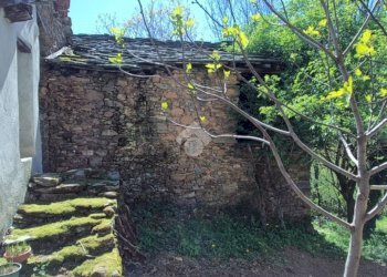 Rustico Località vietti, Coassolo Torinese - foto 4