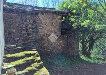 Rustico Località vietti, Coassolo Torinese - foto 5