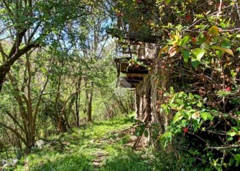 Rustico Località vietti, Coassolo Torinese - foto 7