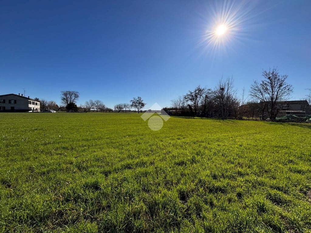 Terreno agricolo Via Enzano, Brescello - foto 1