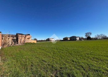 Terreno agricolo Via Enzano, Brescello - foto 5