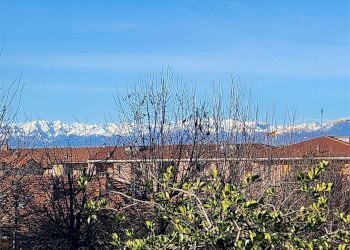 Appartamento Fossano - foto 31