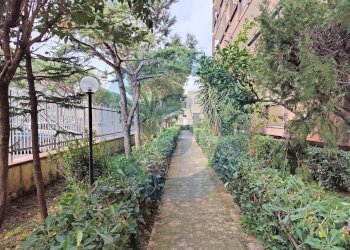 Foto 19 - Trilocale Via Caldarola
 
30/B, Bari - foto 19