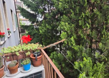 Bilocale via PALMANOVA, 60, Milano (zona Cimiano) - foto 14