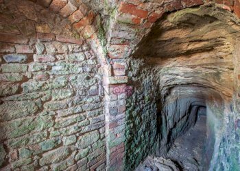 Cantina - Rustico Località Perno, 9, Monforte d'Alba - foto 10