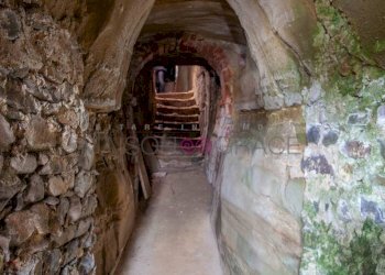 Cantina - Rustico Località Perno, 9, Monforte d'Alba - foto 11