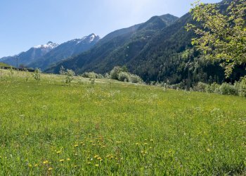 One-room apartment Frazione Les Gontùs 3, Valpelline - photo 16