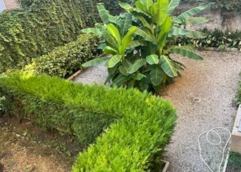 Terreno non edificabile Bologna - foto 20