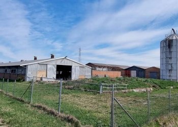 Capannone Carpi - foto 3