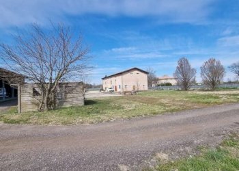 Capannone Carpi - foto 4