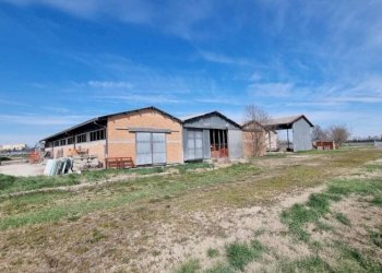 Capannone Carpi - foto 5