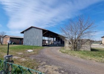 Capannone Carpi - foto 7