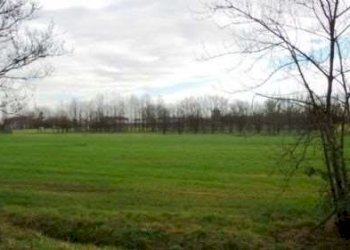 Capannone Carpi - foto 8