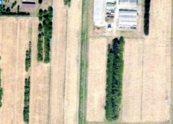 Capannone Carpi - foto 9