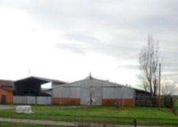 Capannone Carpi - foto 10