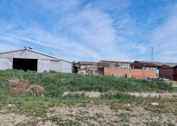 Capannone Carpi - foto 12