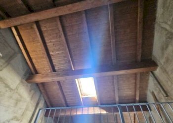 Capannone Carpi - foto 22