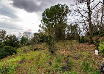 Giardino - Villa Via Algerazzi
 
26, Milo - foto 38