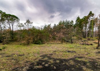 Giardino - Villa Via Algerazzi
 
26, Milo - foto 41