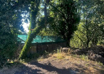 Giardino - Casa indipendente Via Sciarelle
 
snc, Piedimonte Etneo - foto 7