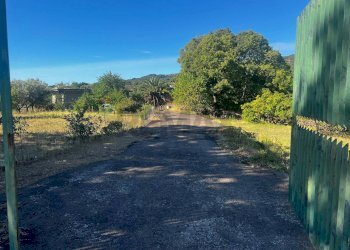 Giardino - Casa indipendente Via Sciarelle
 
snc, Piedimonte Etneo - foto 9