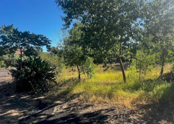 Giardino - Casa indipendente Via Sciarelle
 
snc, Piedimonte Etneo - foto 12