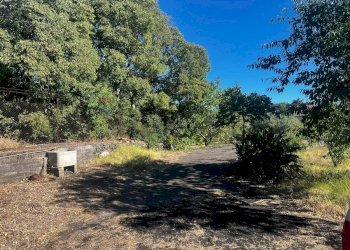 Giardino - Casa indipendente Via Sciarelle
 
snc, Piedimonte Etneo - foto 13