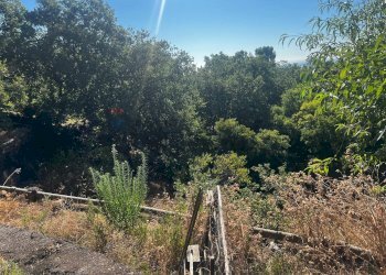 Giardino - Casa indipendente Via Sciarelle
 
snc, Piedimonte Etneo - foto 14