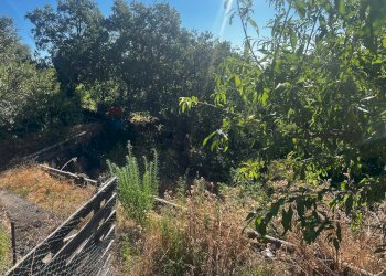 Giardino - Casa indipendente Via Sciarelle
 
snc, Piedimonte Etneo - foto 15
