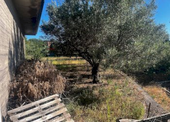 Giardino - Casa indipendente Via Sciarelle
 
snc, Piedimonte Etneo - foto 16