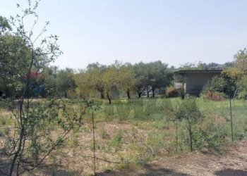 Giardino - Casa indipendente Via Sciarelle
 
snc, Piedimonte Etneo - foto 18