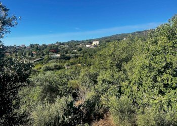 Vista delle montagne - Casa indipendente Via Sciarelle
 
snc, Piedimonte Etneo - foto 20