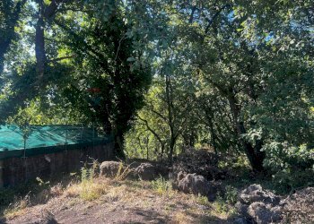 Giardino - Casa indipendente Via Sciarelle
 
snc, Piedimonte Etneo - foto 24