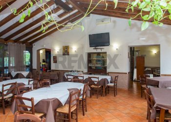 Sala da pranzo - Commercial Activity Trecastagni - photo 16