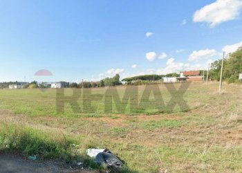 Giardino - Terreno edificabile via del trapezio, Anzio - foto 5