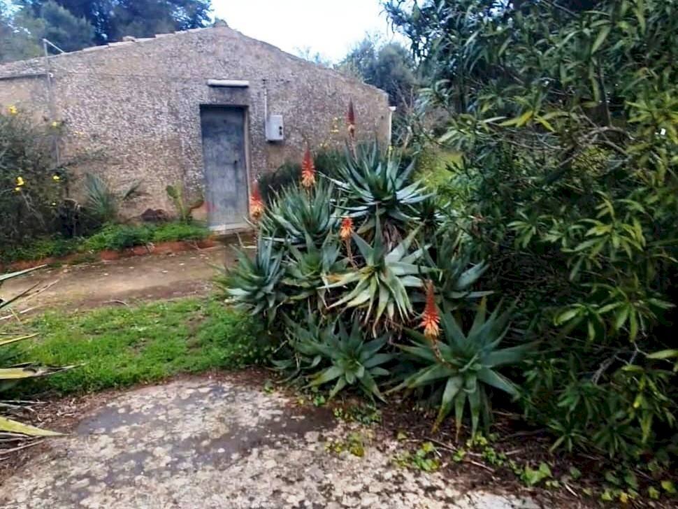 Giardino - Villa via Antonino Gravina Il Bellicoso
26, Caltagirone - foto 3