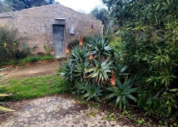 Giardino - Villa via Antonino Gravina Il Bellicoso
 
26, Caltagirone - foto 3