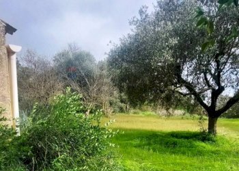 Giardino - Villa via Antonino Gravina Il Bellicoso
 
26, Caltagirone - foto 7